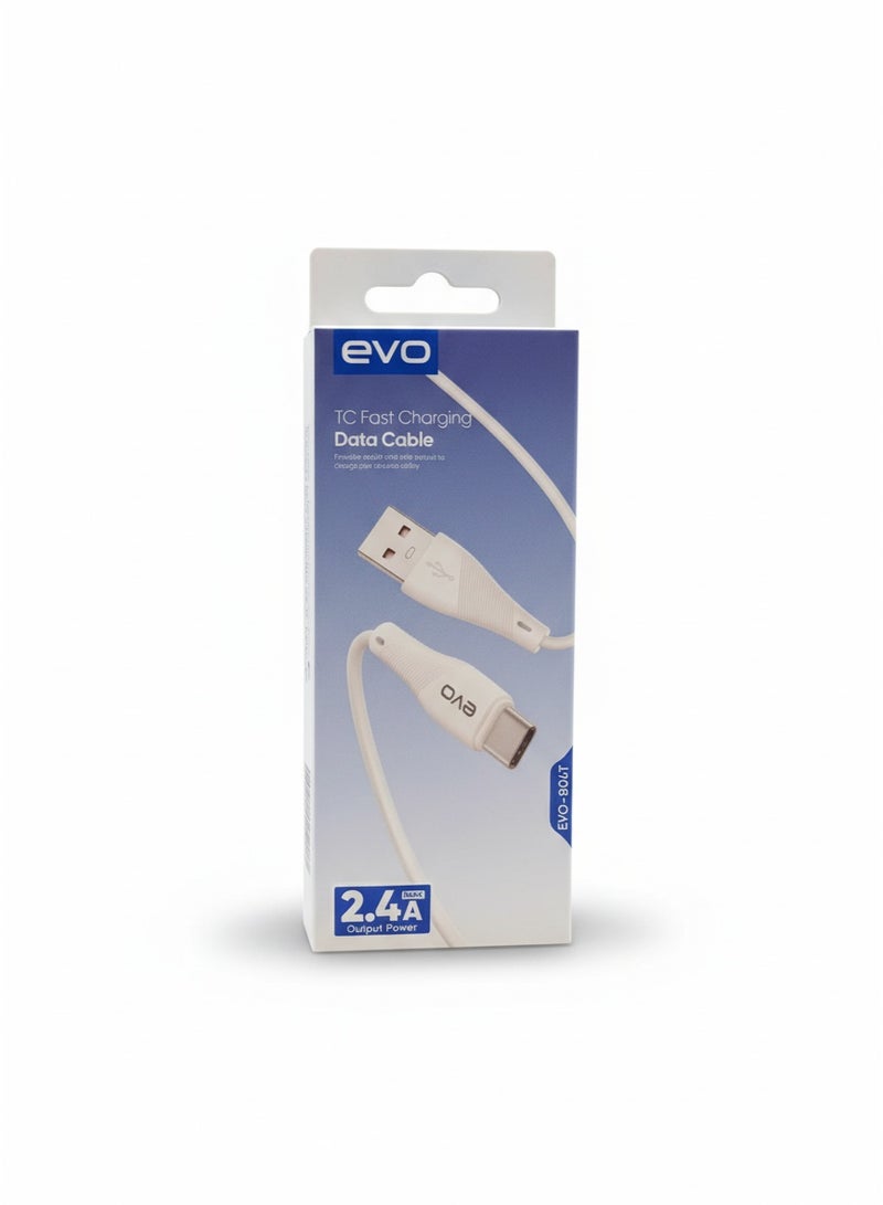 إيفو كابل الشحن السريع ونقل البيانات B04T من USB إلى Type-C، شحن عالي السرعة ونقل بيانات مستقر، تصميم متين مقاوم للانحناء، مظهر عصري أنيق للاستخدام المنزلي والمكتبي والسفر - Image 2